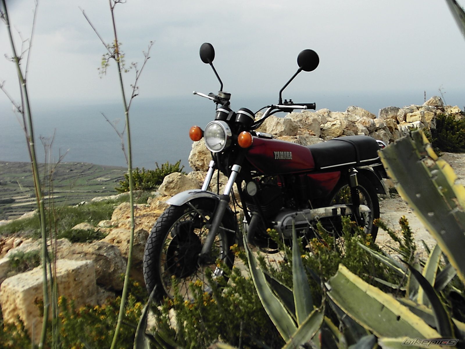 1980 YAMAHA RS 125 | Picture 1457780 motorcycle photo