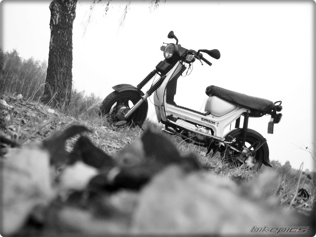 1989 SIMSON SR 50 | Picture 1457858 motorcycle photo