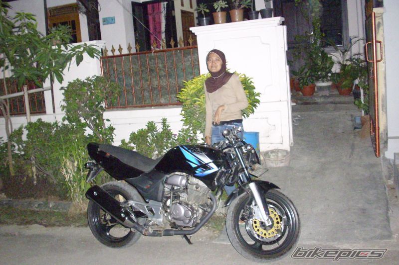 1997 HONDA TIGER | Picture 1458364 motorcycle photo