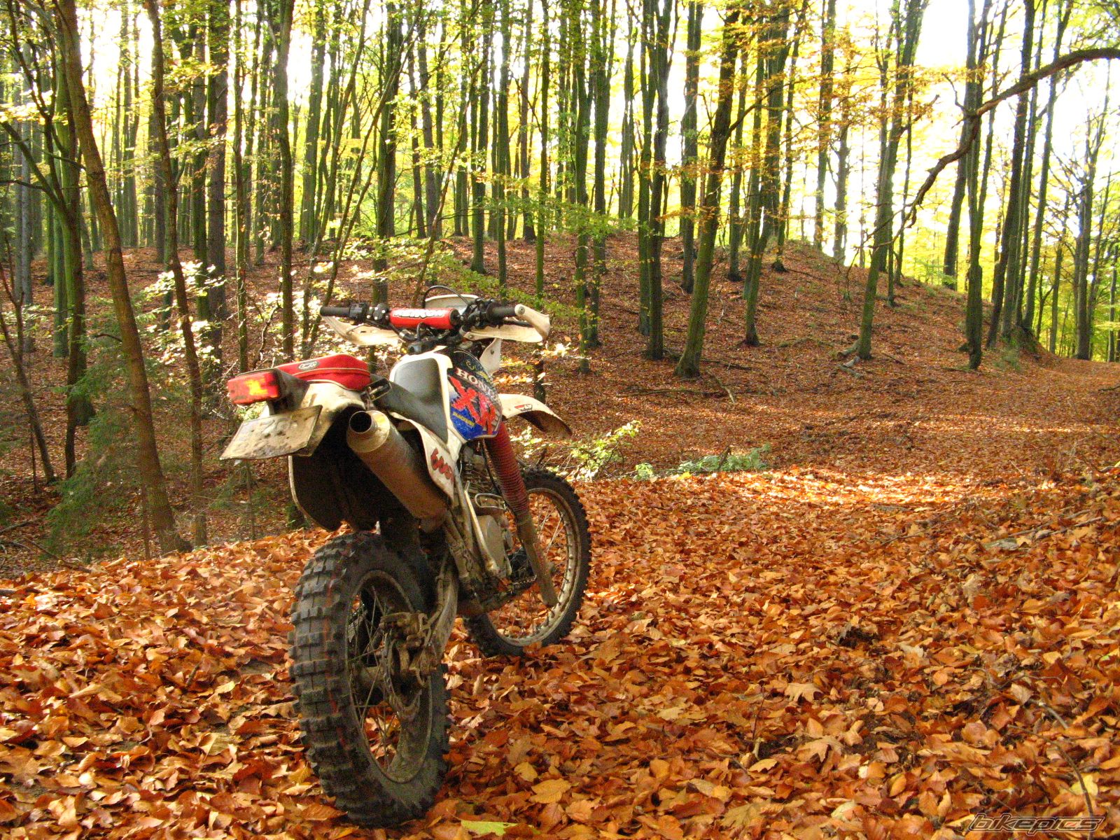1994 HONDA XR 600 | Picture 1458663 motorcycle photo