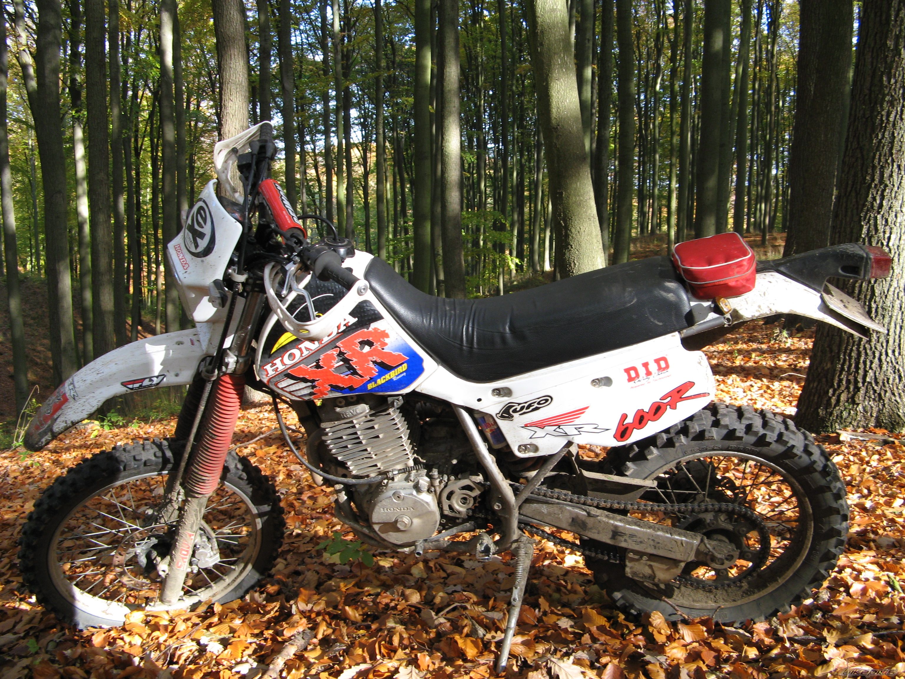 1994 HONDA XR 600 | Picture 1458674 motorcycle photo