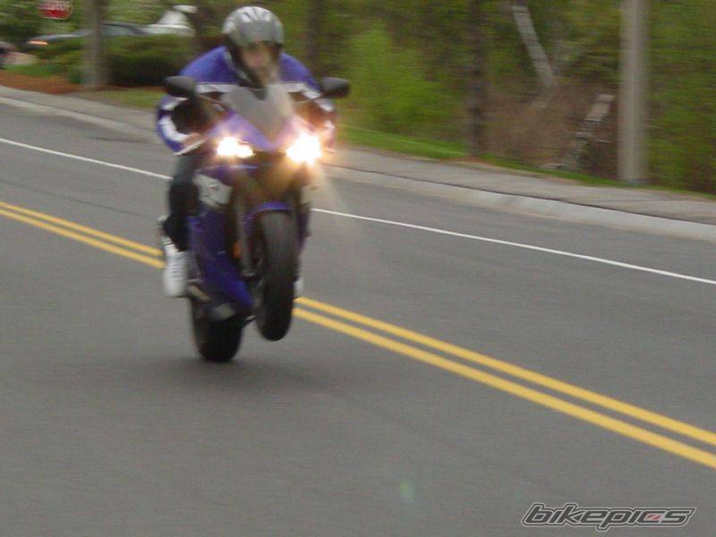 2004 YAMAHA YZF R6 | Picture 145876 motorcycle photo