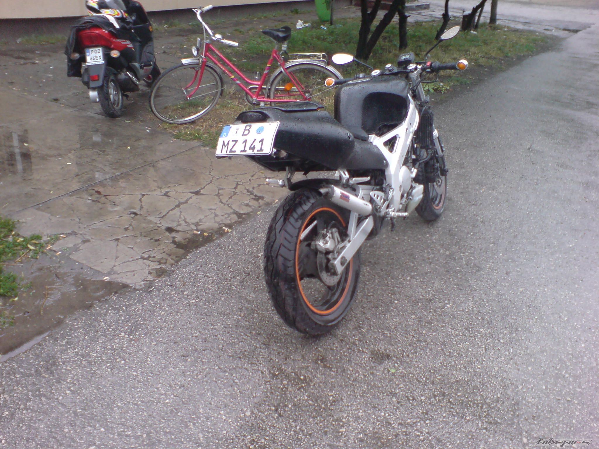 2000 YAMAHA TZR 125 | Picture 1459588 motorcycle photo