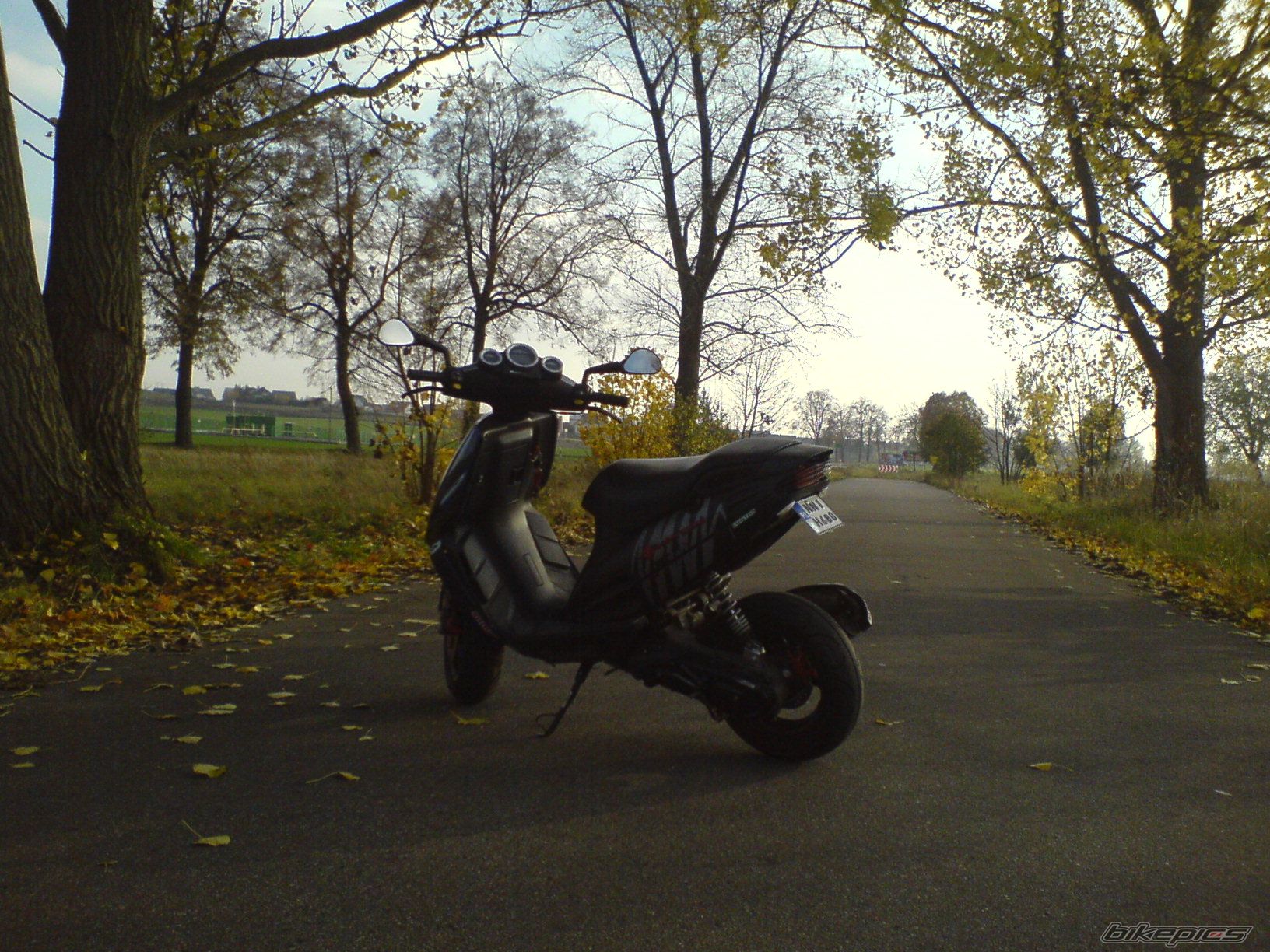 2003 MALAGUTI PHANTOM 50 F12 | Picture 1459879 motorcycle photo