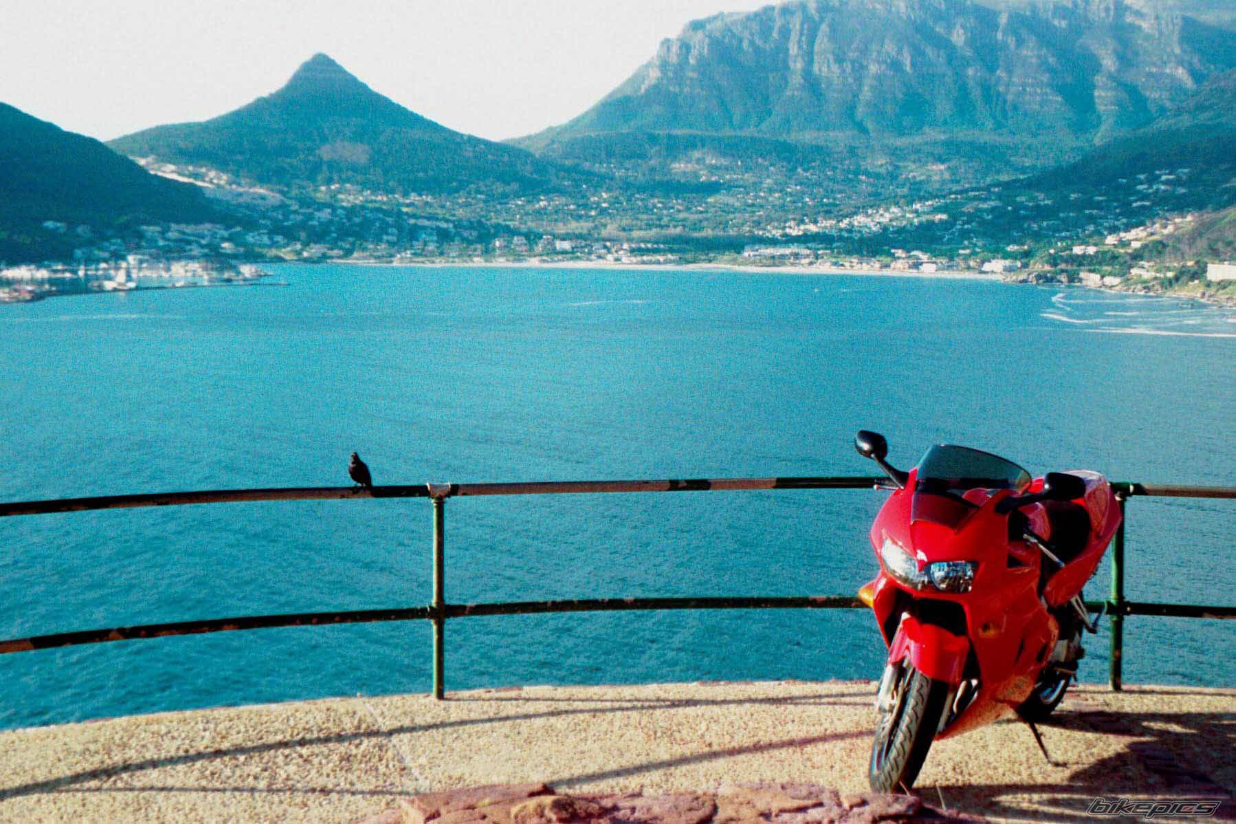 1999 HONDA VFR 800 | Picture 146 motorcycle photo