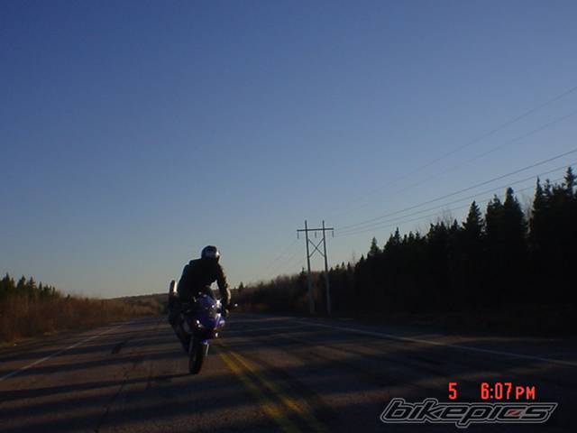 1999 YAMAHA YZF R6 | Picture 146021 motorcycle photo