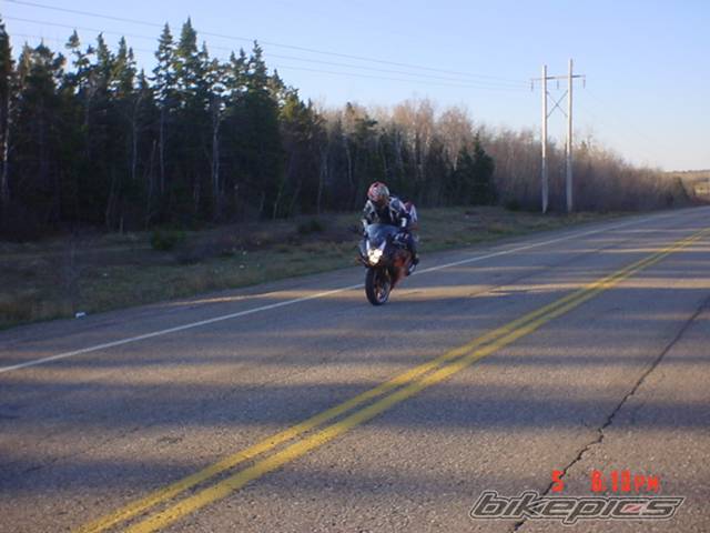 2003 SUZUKI GSX R 1000 | Picture 146026 motorcycle photo