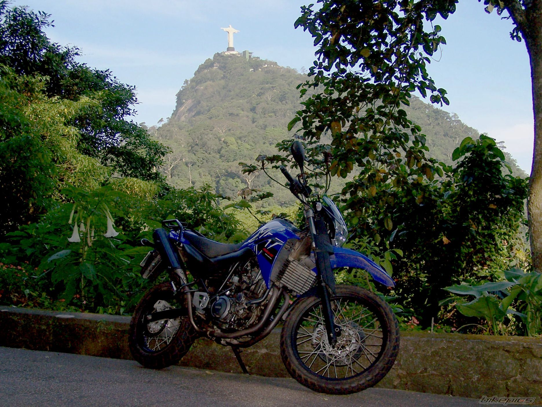 2008 YAMAHA XT 660 | Picture 1460263 motorcycle photo