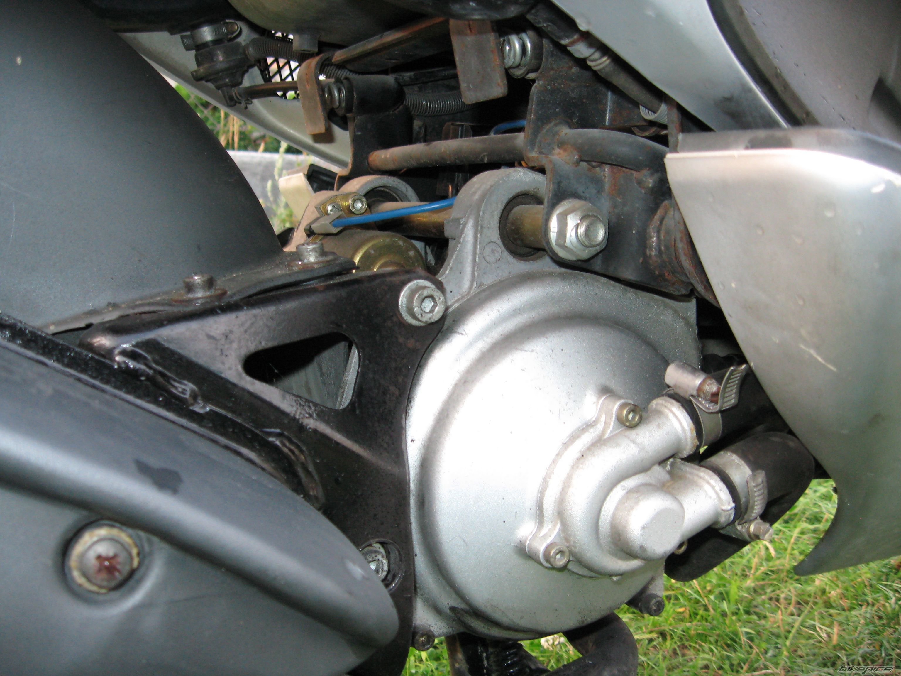 1999 MALAGUTI F 12 50 | Picture 1460456 motorcycle photo
