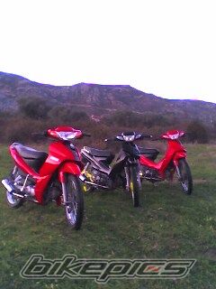 2009 YAMAHA CRYPTON R 115 | Picture 1460516 motorcycle photo