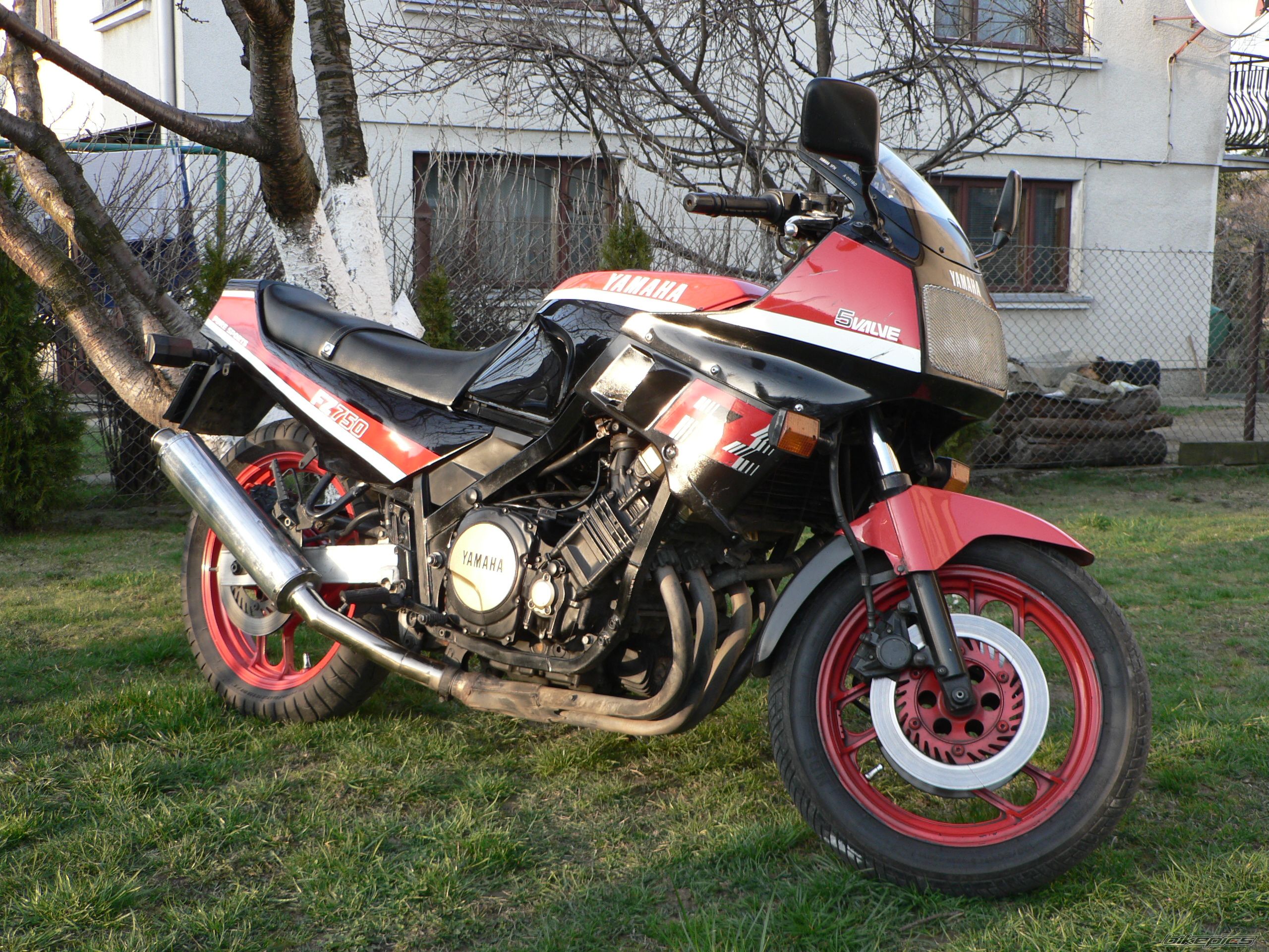 1988 YAMAHA FZ 750 | Picture 1460586 motorcycle photo