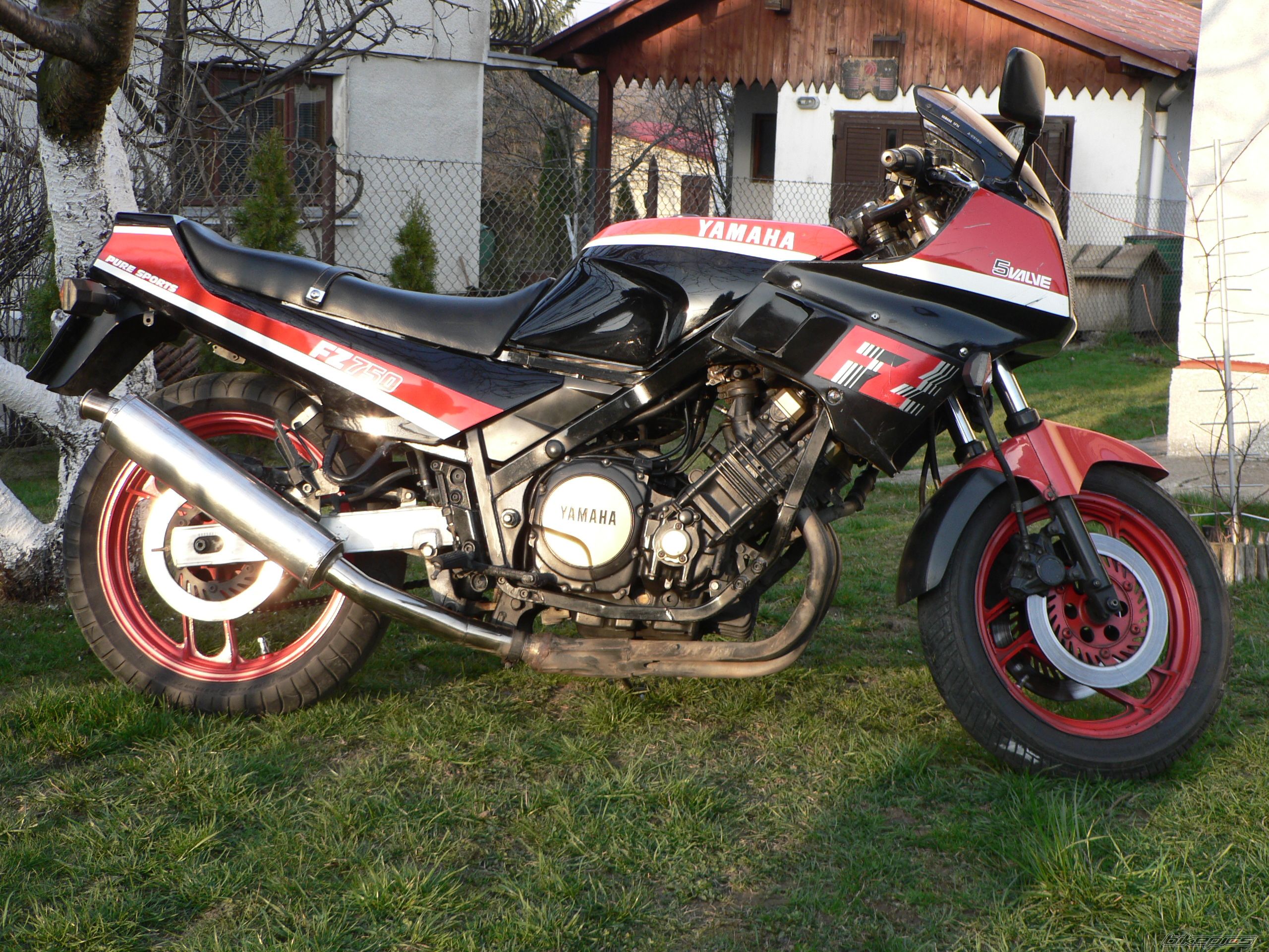 1988 YAMAHA FZ 750 | Picture 1460591 motorcycle photo