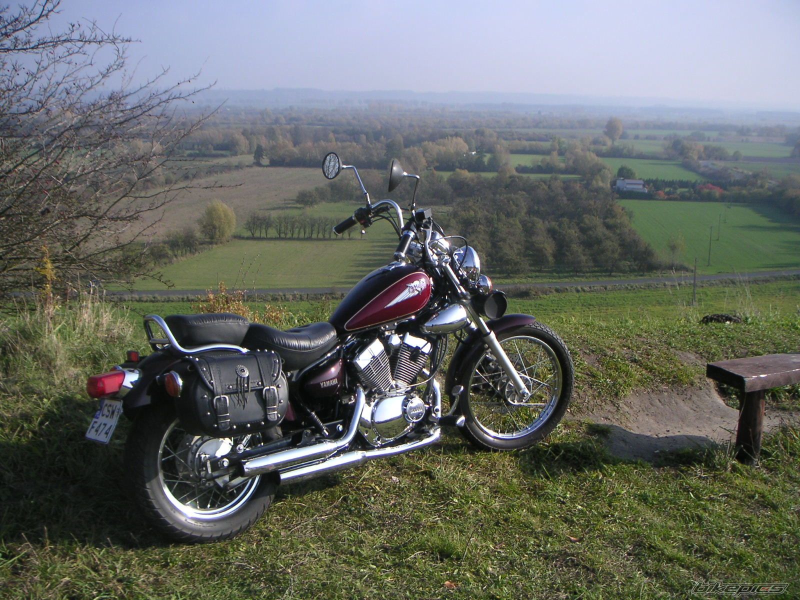 2004 DAELIM S FIVE 50 | Picture 1460647 motorcycle photo