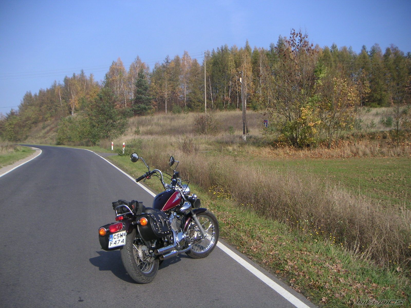 2004 DAELIM S FIVE 50 | Picture 1460652 motorcycle photo