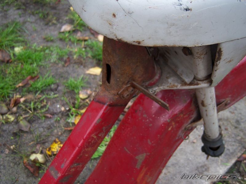 1979 JAWA 50 | Picture 1460680 motorcycle photo