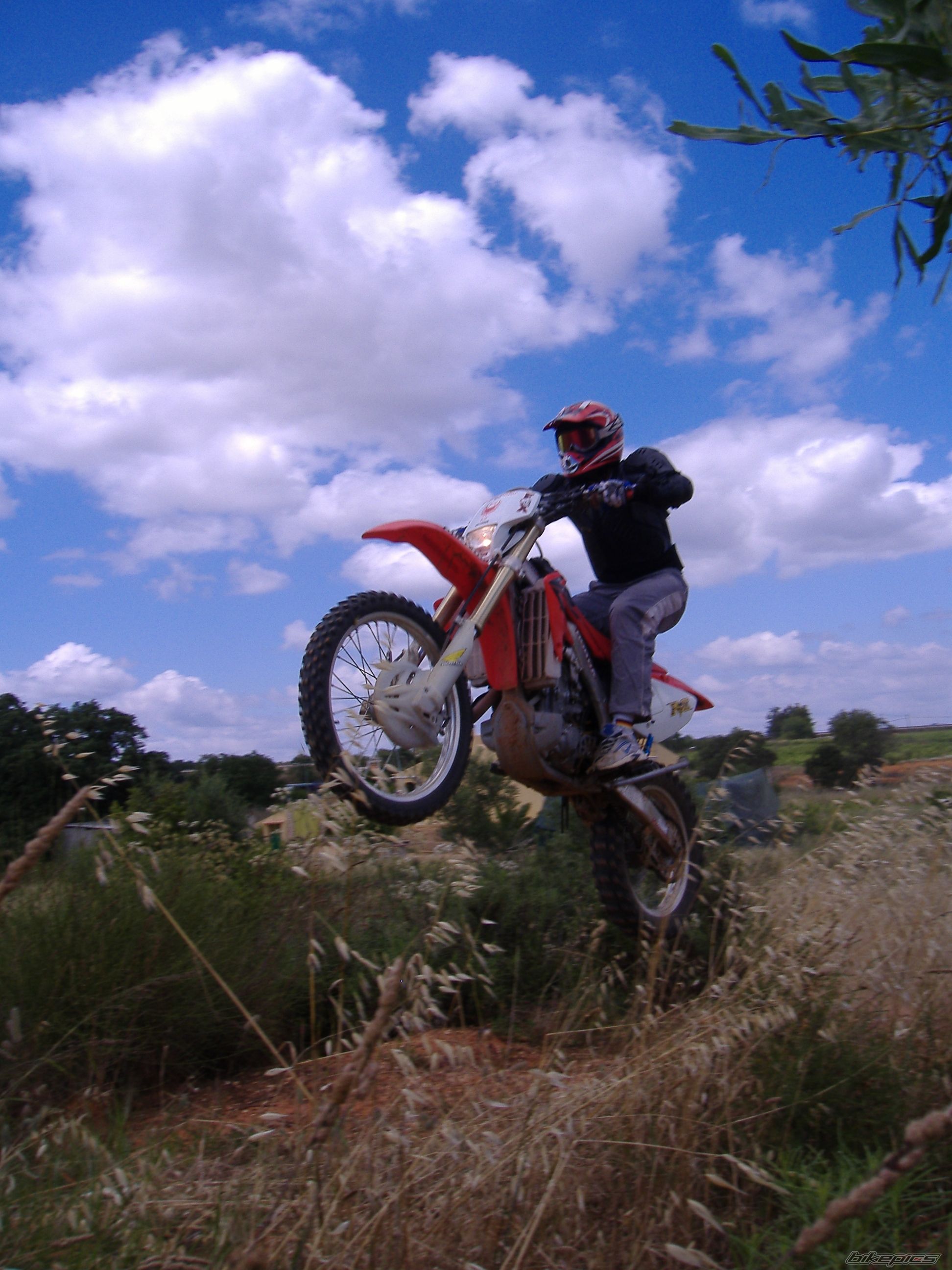 2005 HONDA CRF 450 | Picture 1460758 motorcycle photo