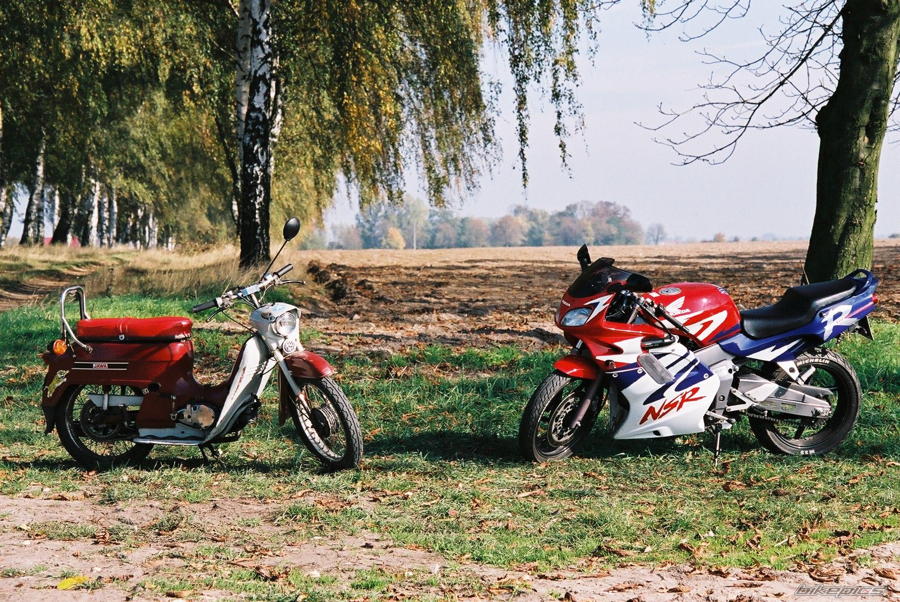 1998 HONDA NSR 125 | Picture 1460791 motorcycle photo