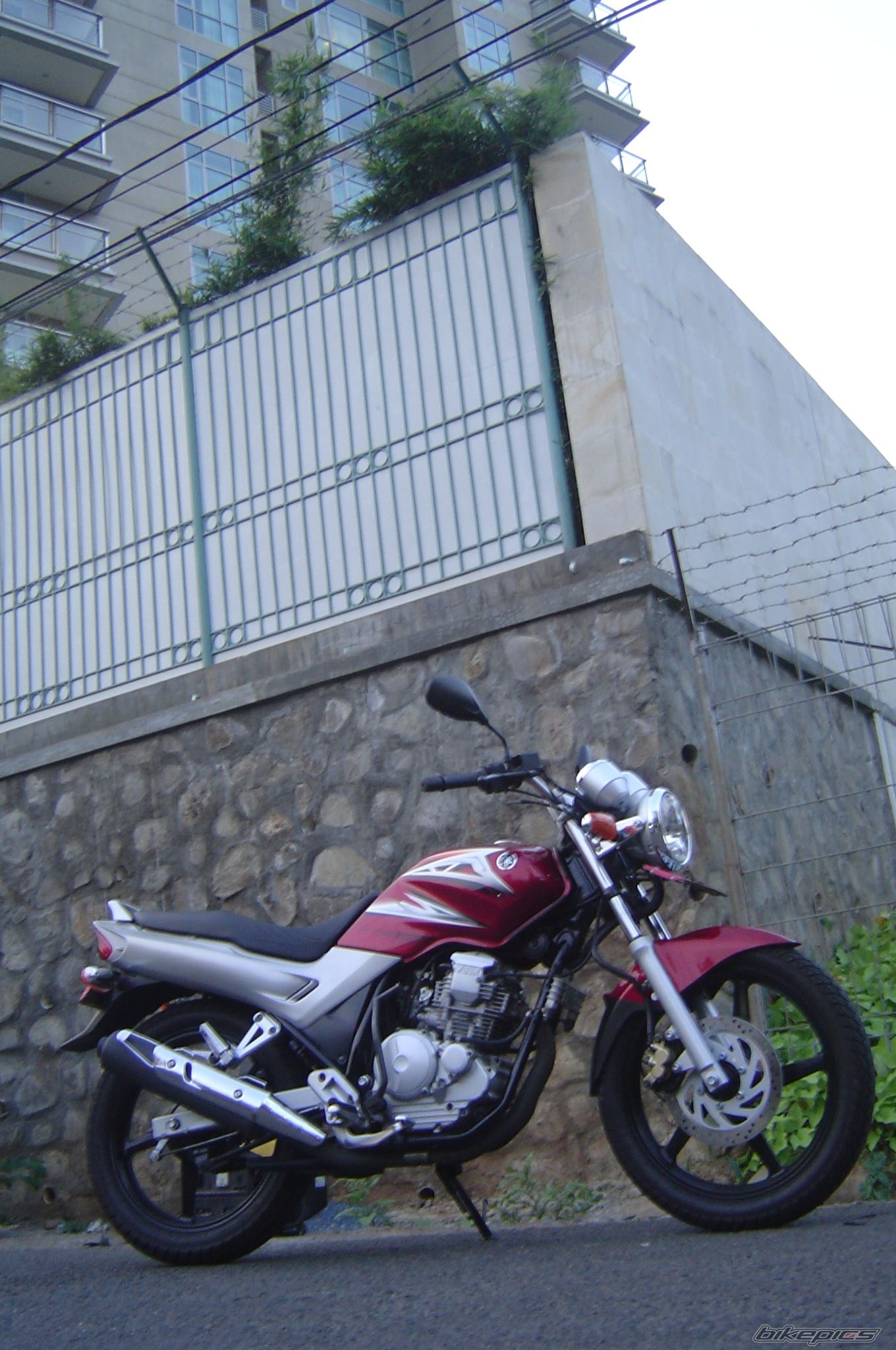 2008 YAMAHA SCORPIO 225 | Picture 1461192 motorcycle photo
