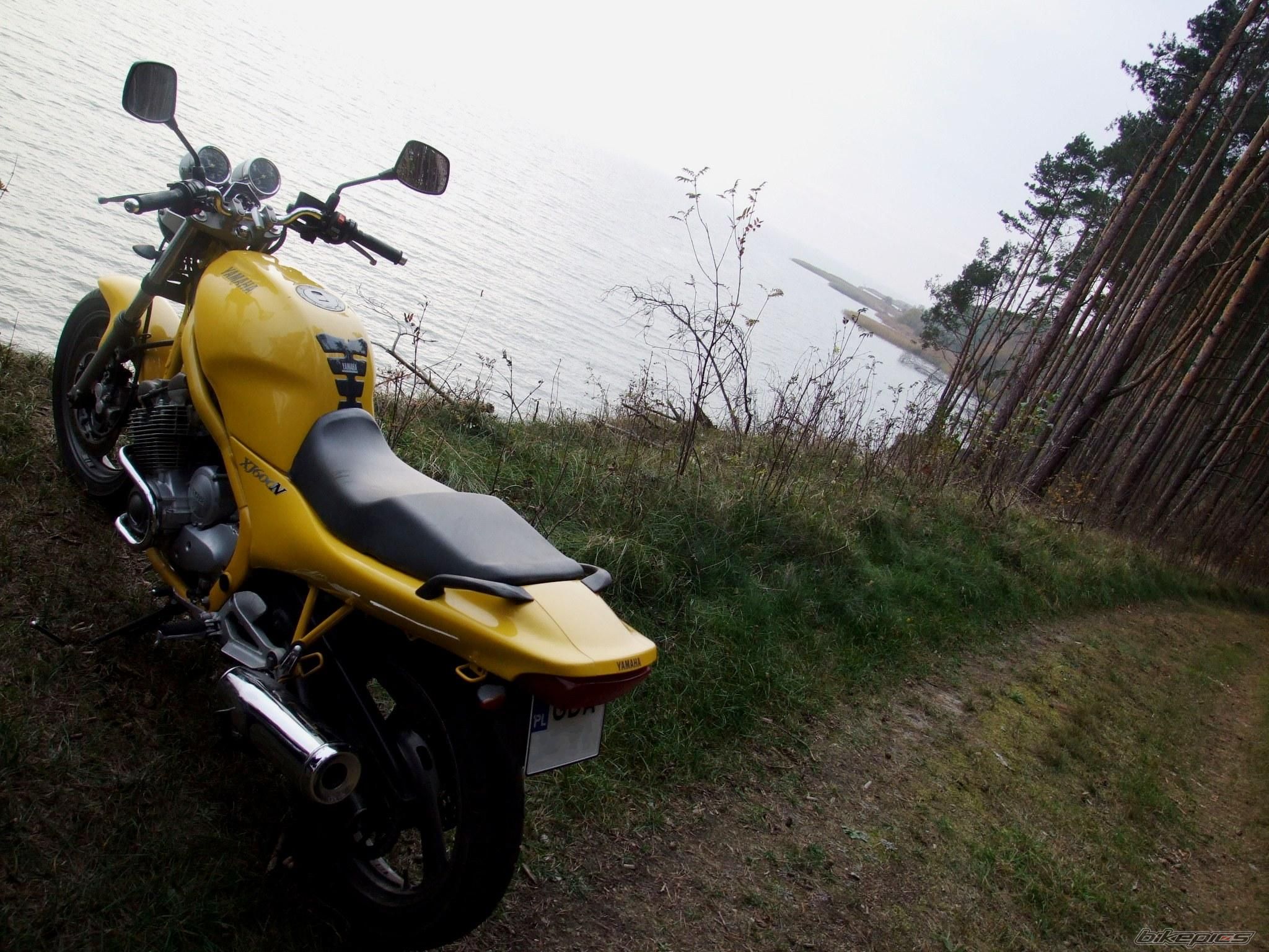 1994 YAMAHA XJ 600 | Picture 1461284 motorcycle photo