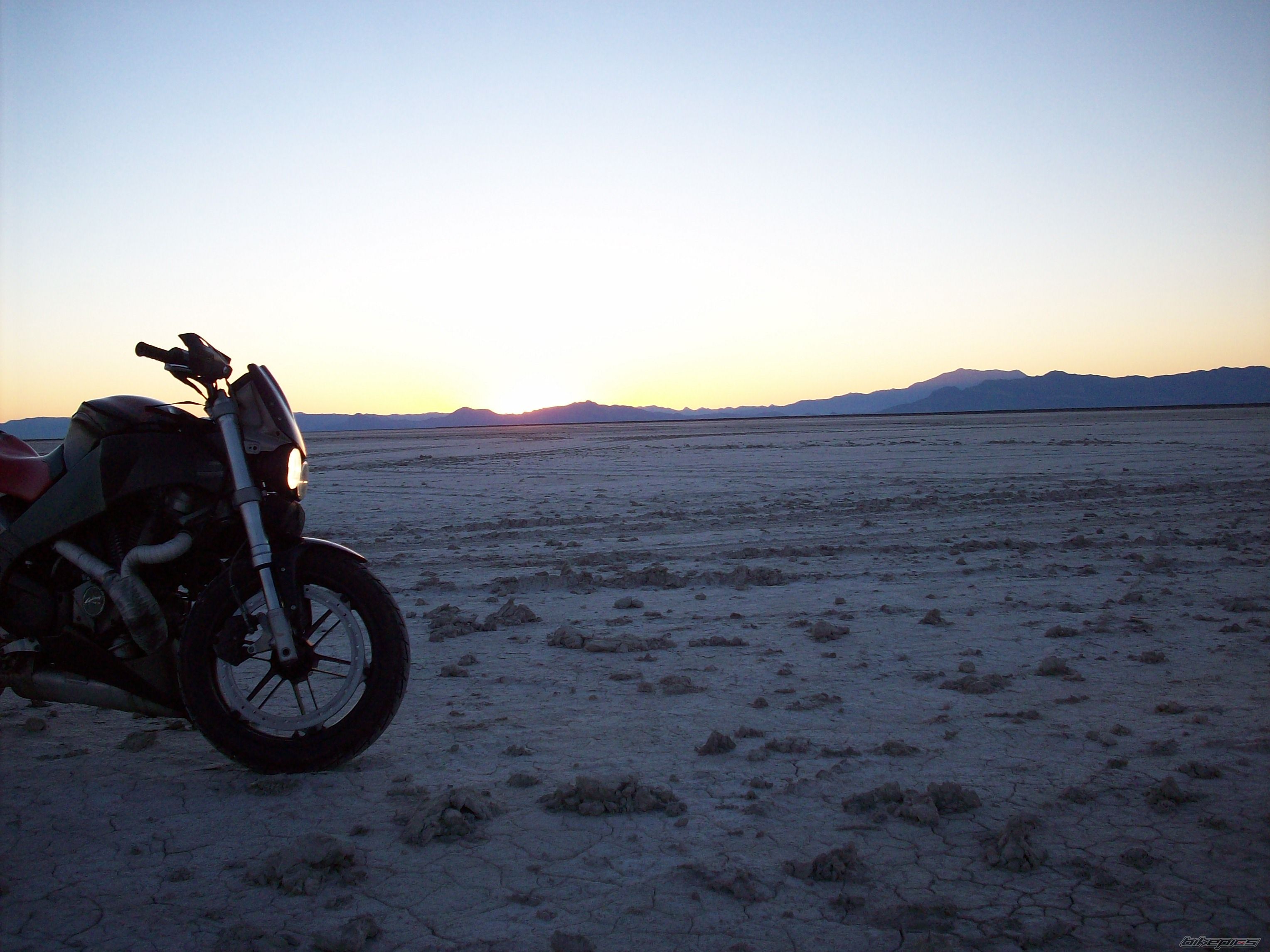 2004 BUELL XB12S LIGHTNING | Picture 1461547 motorcycle photo