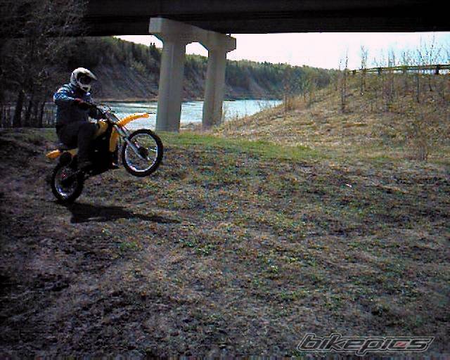 1981 YAMAHA YZ 80 | Picture 146162 motorcycle photo