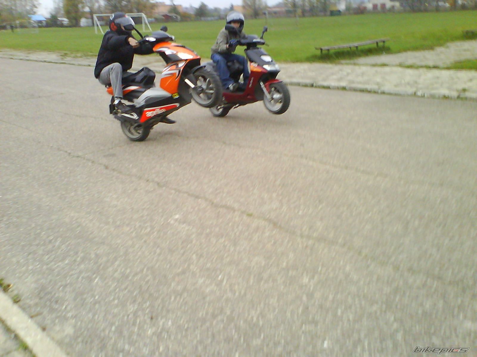 2008 APRILIA SR 50 | Picture 1461763 motorcycle photo