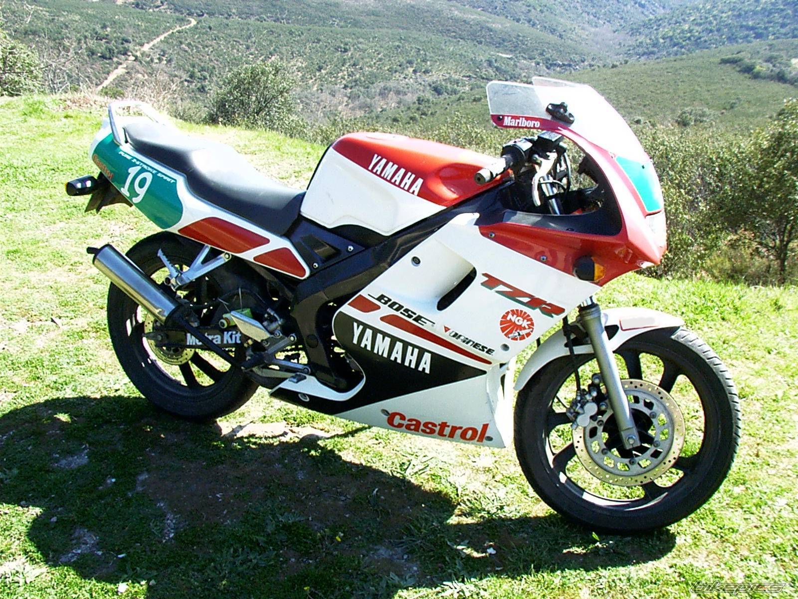1992 YAMAHA TZR 80 | Picture 146204 motorcycle photo