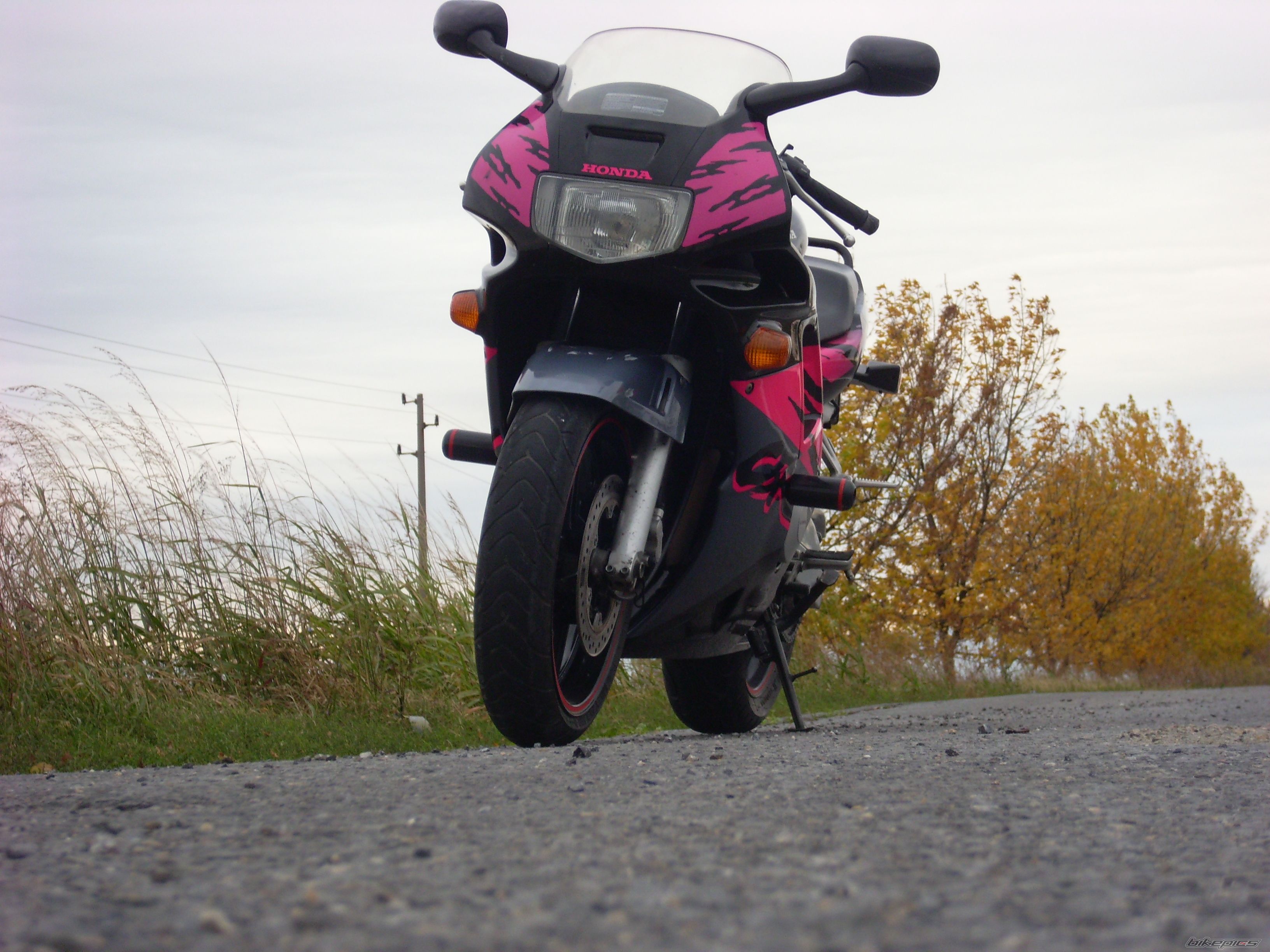 1994 HONDA CBR 600 | Picture 1462100 motorcycle photo