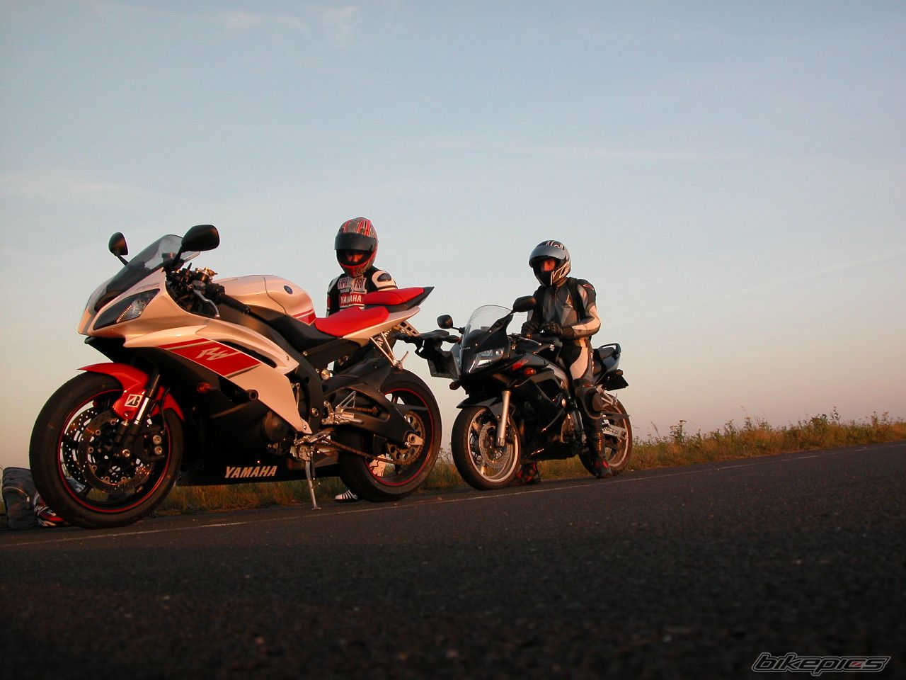 2008 YAMAHA YZF R6 | Picture 1462459 motorcycle photo