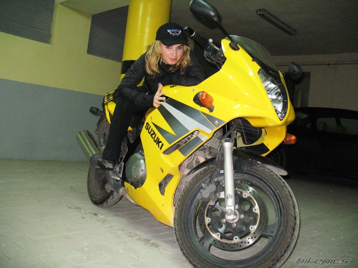 2004 SUZUKI GS 500 | Picture 1462501 motorcycle photo