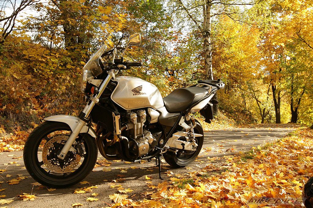 2004 HONDA CB1300 | Picture 1462701 motorcycle photo