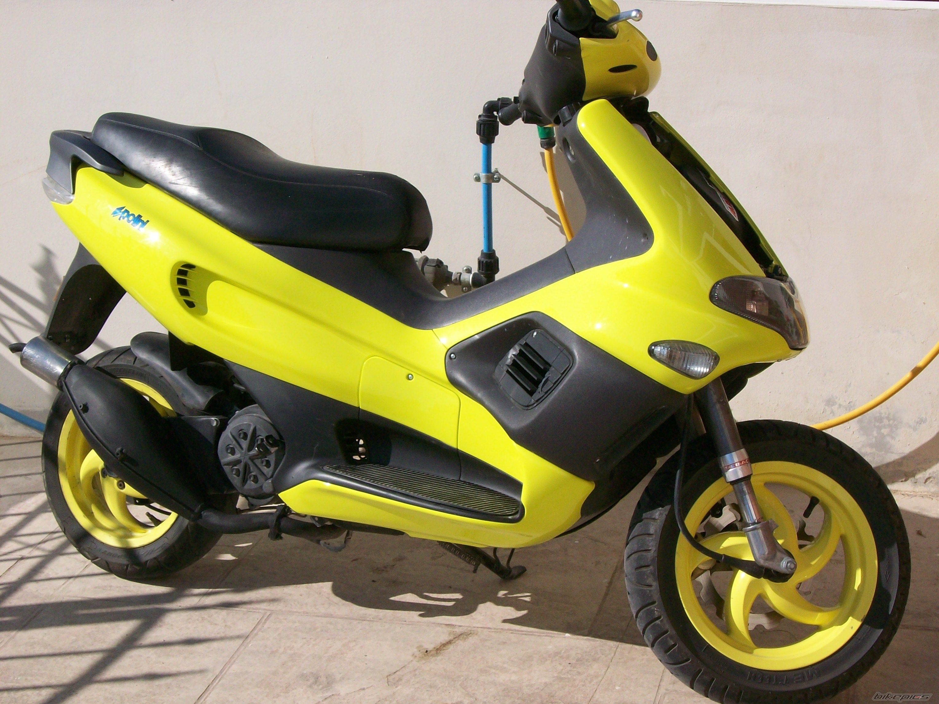 2005 GILERA RUNNER 50 | Picture 1463150 motorcycle photo