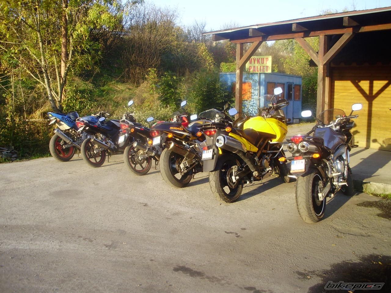 2008 YAMAHA FZ6 FAZER | Picture 1463403 motorcycle photo