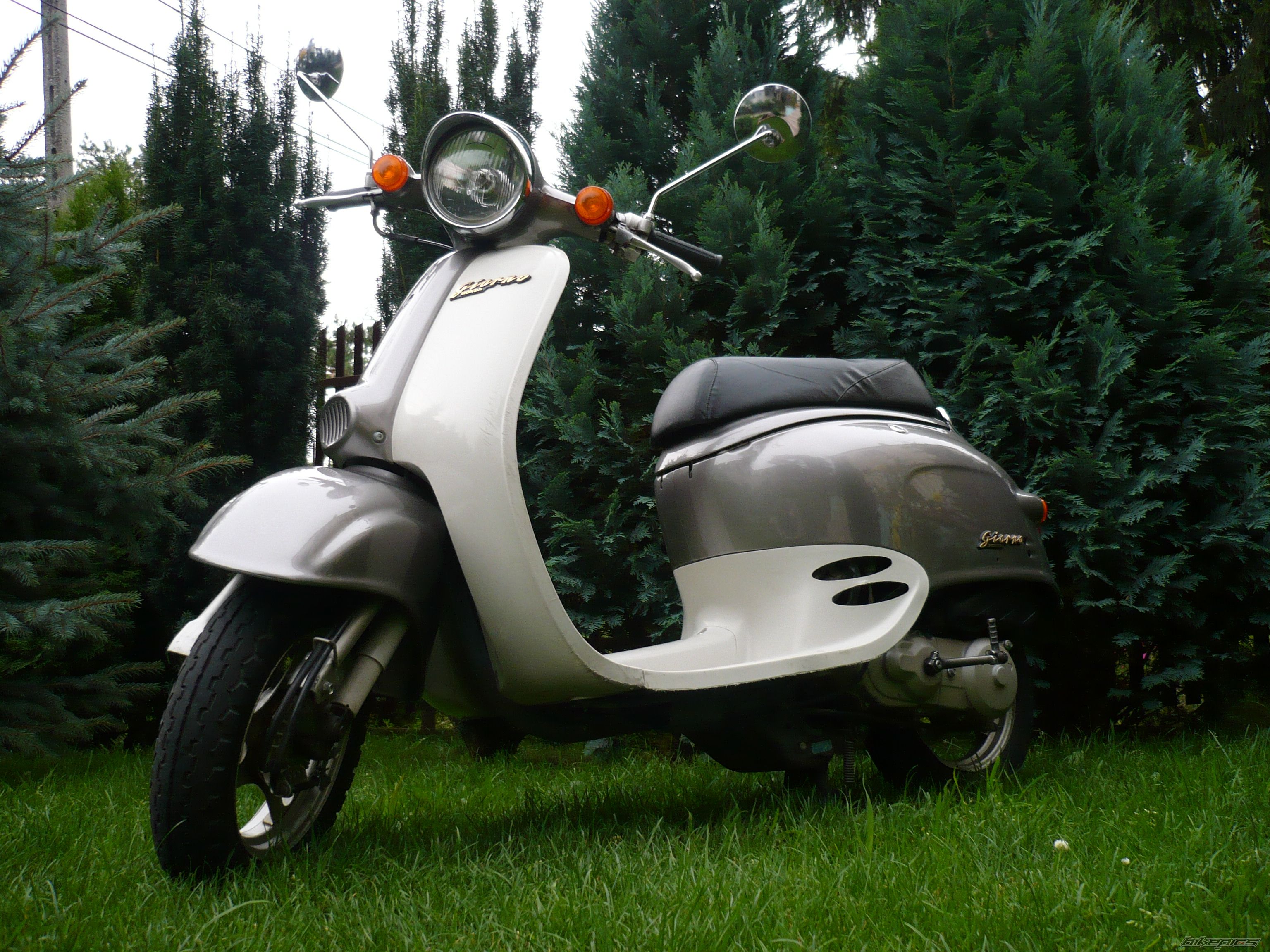 2000 HONDA SKY 50 | Picture 1463539 motorcycle photo