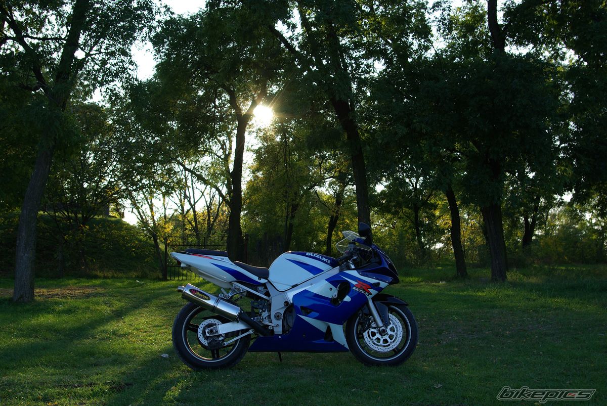 2001 SUZUKI GSX R 600 | Picture 1463737 motorcycle photo