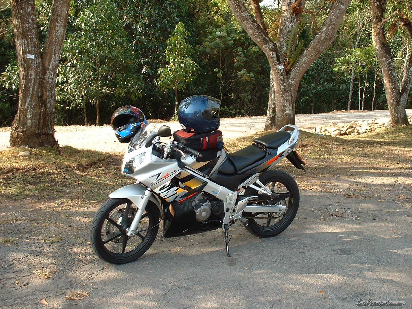 2003 HONDA CBR 150 | Picture 146386 motorcycle photo