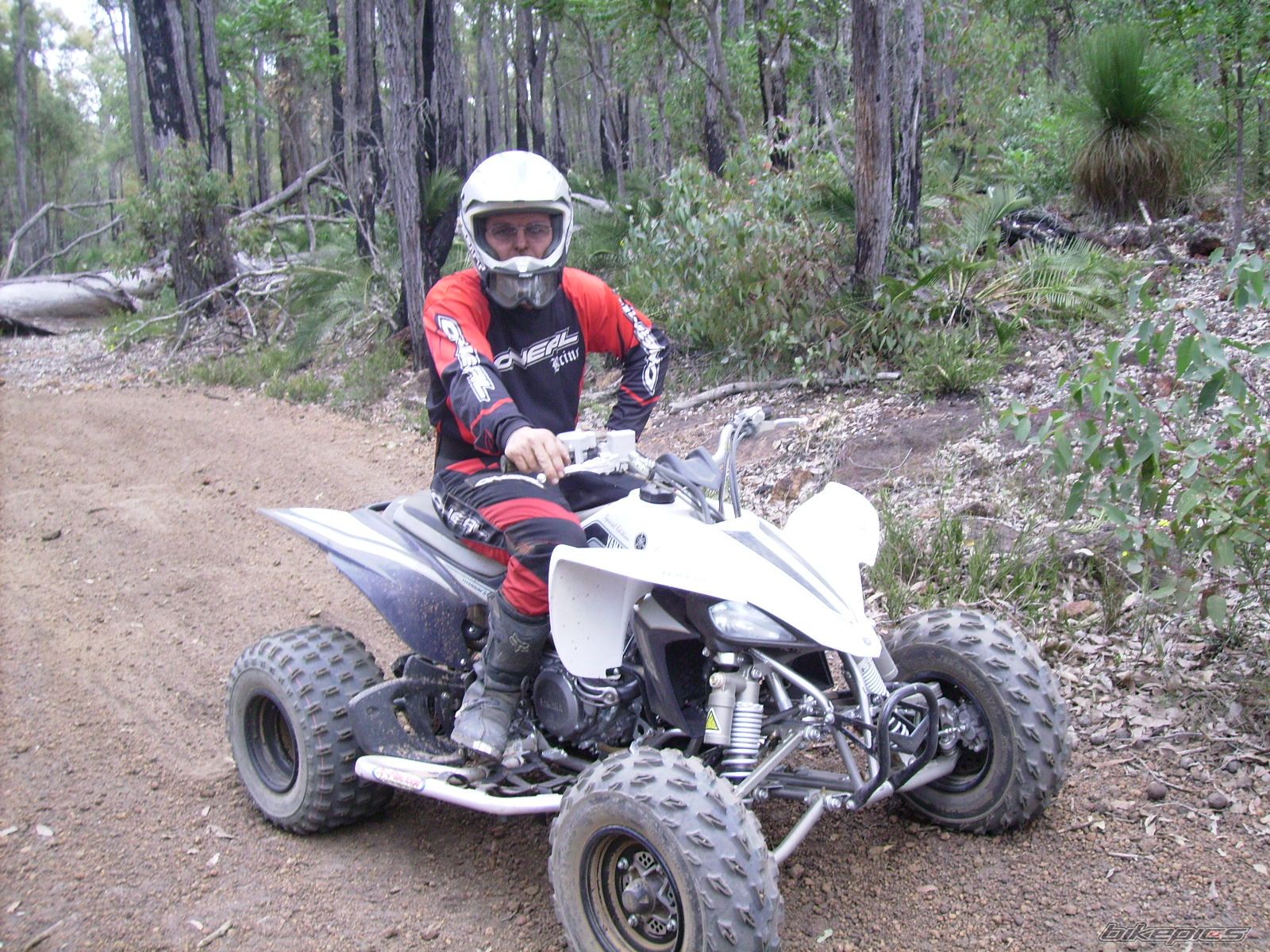 2008 YAMAHA RAPTOR YFZ 450 | Picture 1464036 motorcycle photo