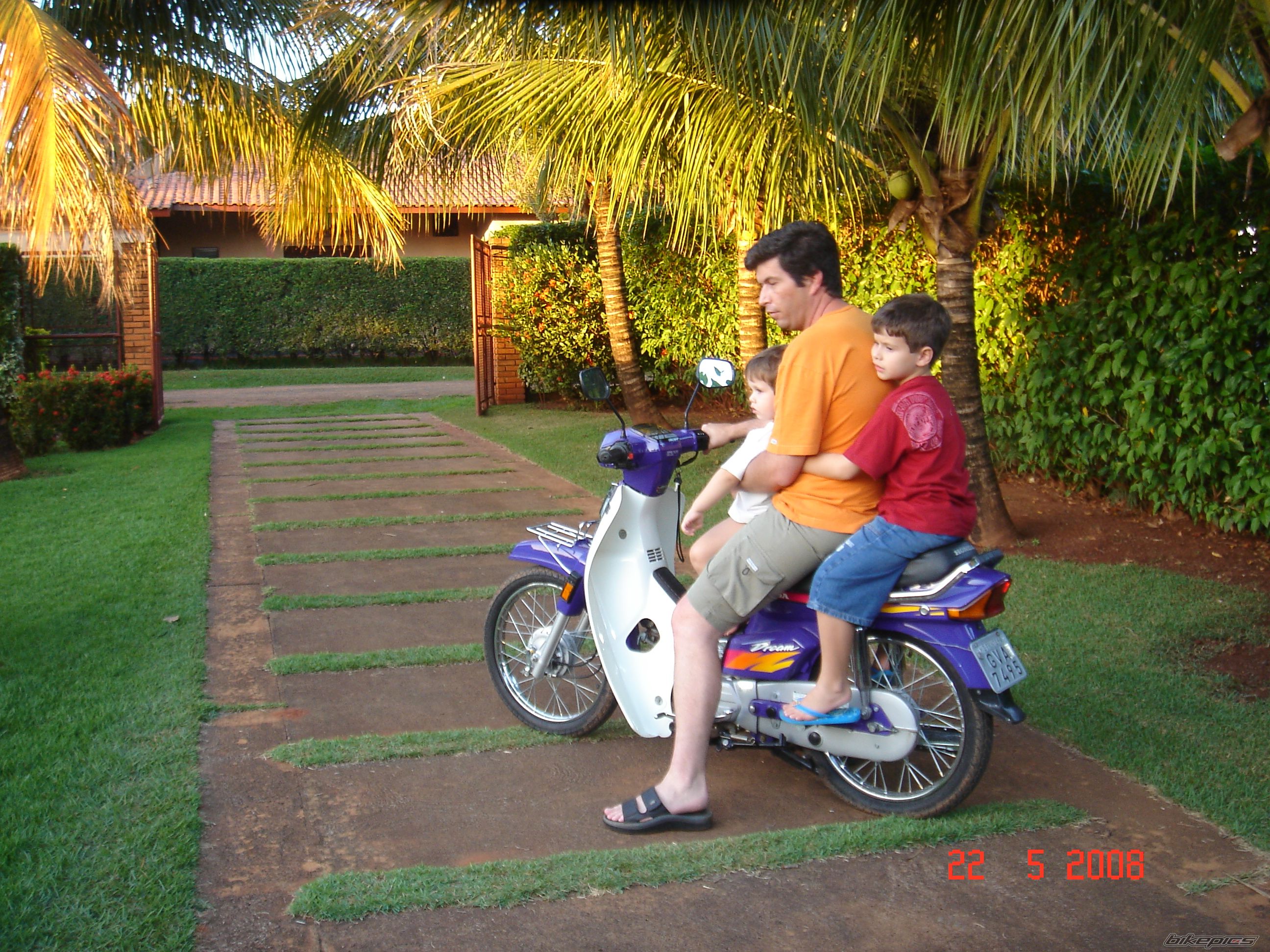 1996 HONDA C 100 DREAM | Picture 1464319 motorcycle photo