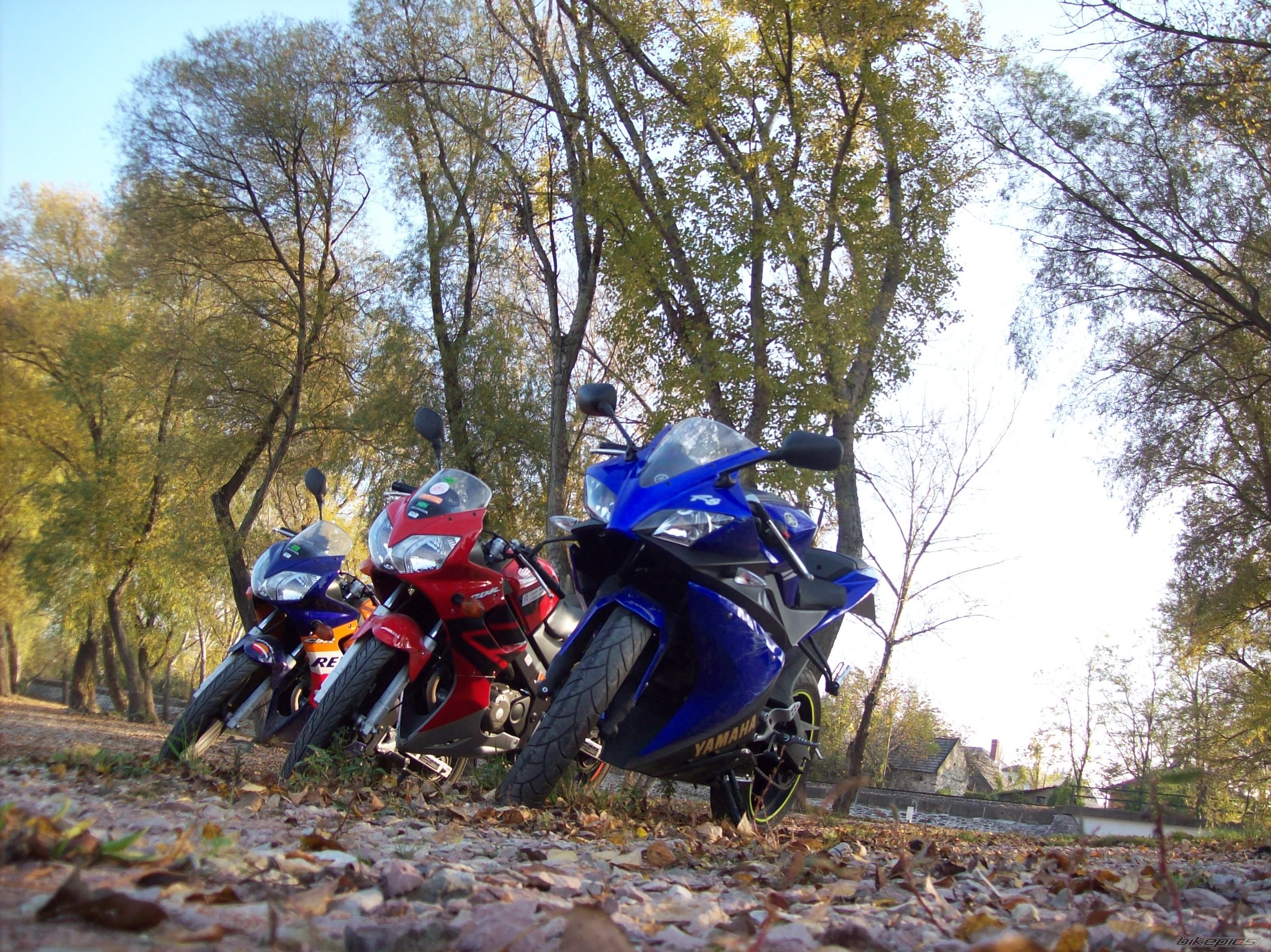2008 YAMAHA YZF R125 | Picture 1464586 motorcycle photo