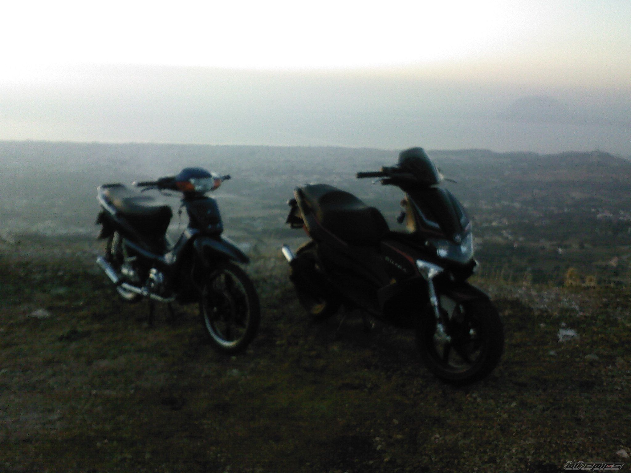 2009 GILERA RUNNER 50 | Picture 1464665 motorcycle photo