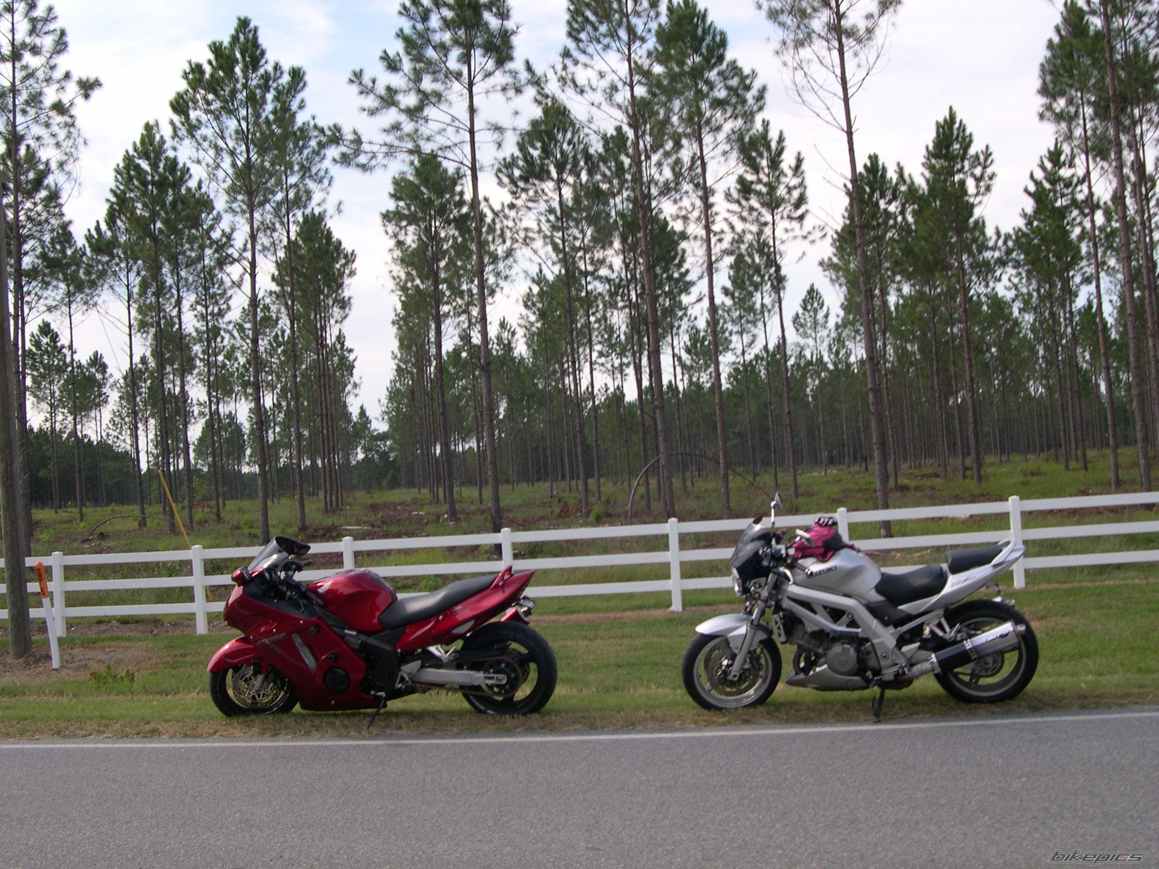 2003 SUZUKI SV 1000 | Picture 1464752 motorcycle photo