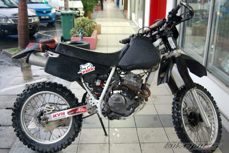 1993 HONDA XR 250 | Picture 1465594 motorcycle photo