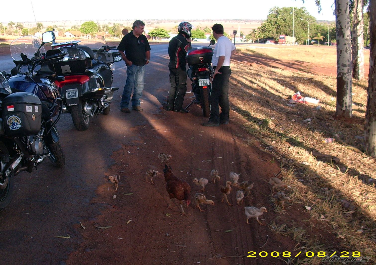    | Picture 1465707 motorcycle photo
