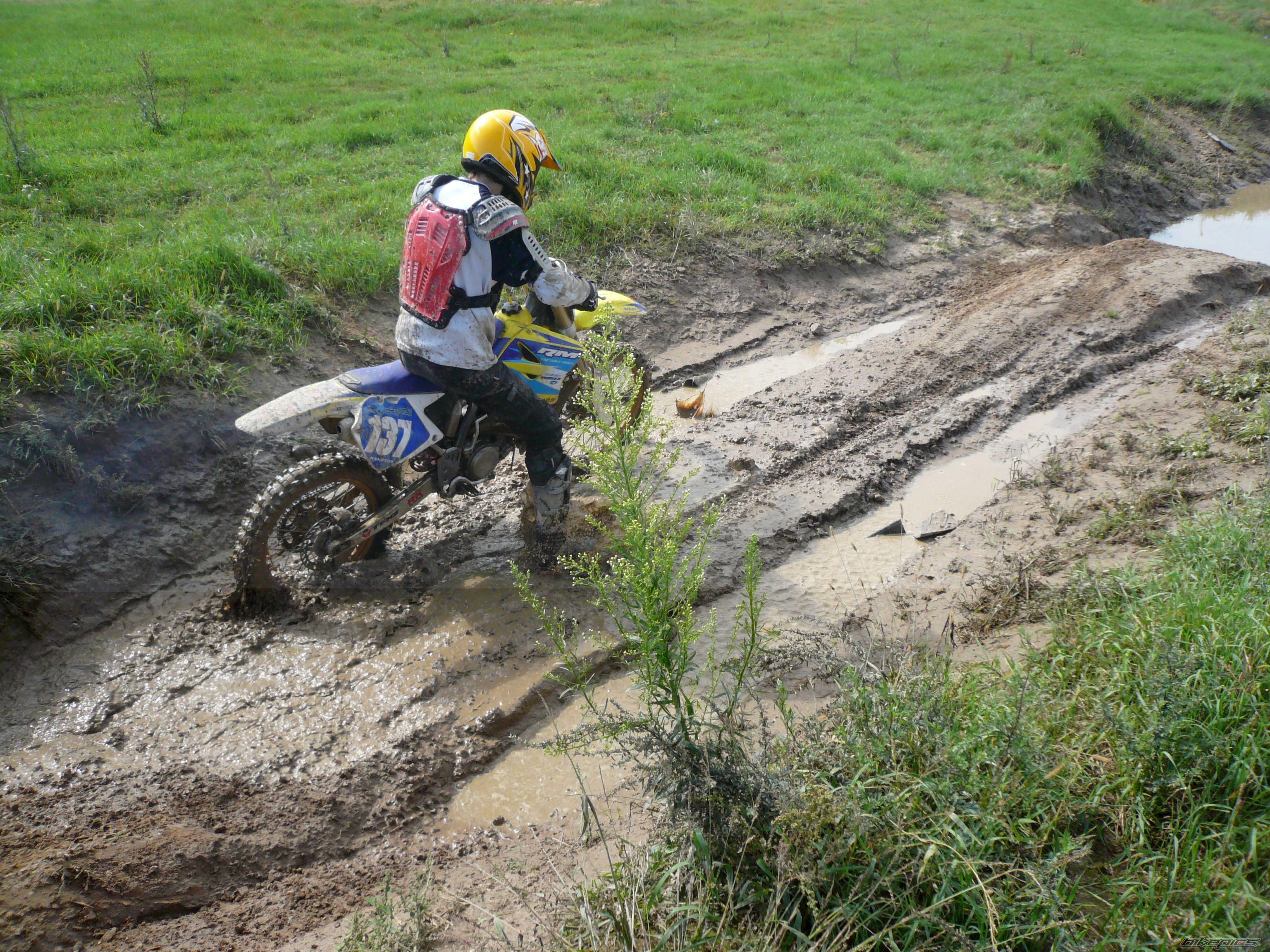 2003 SUZUKI RM 125 | Picture 1466138 motorcycle photo