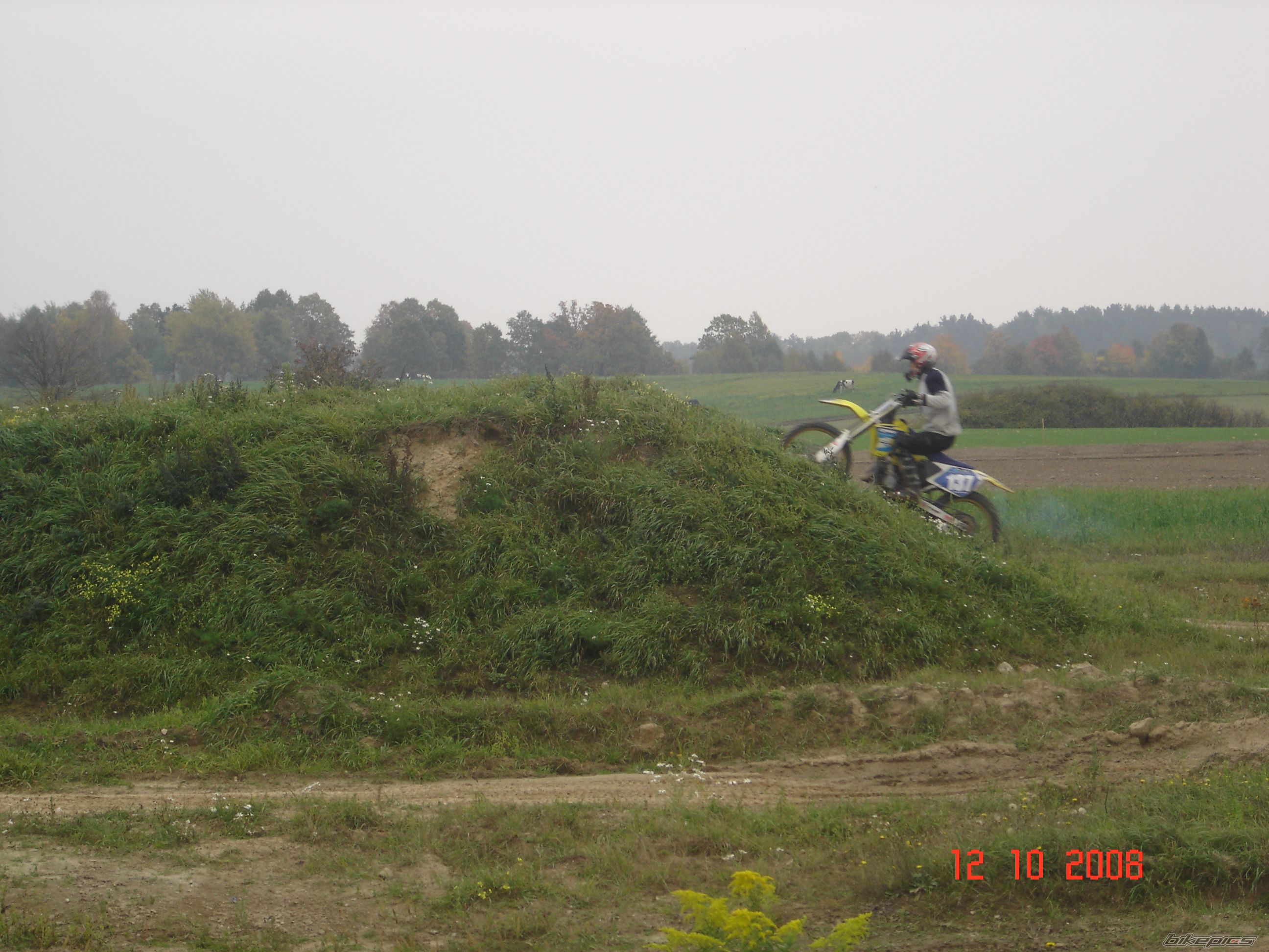 2003 SUZUKI RM 125 | Picture 1466144 motorcycle photo