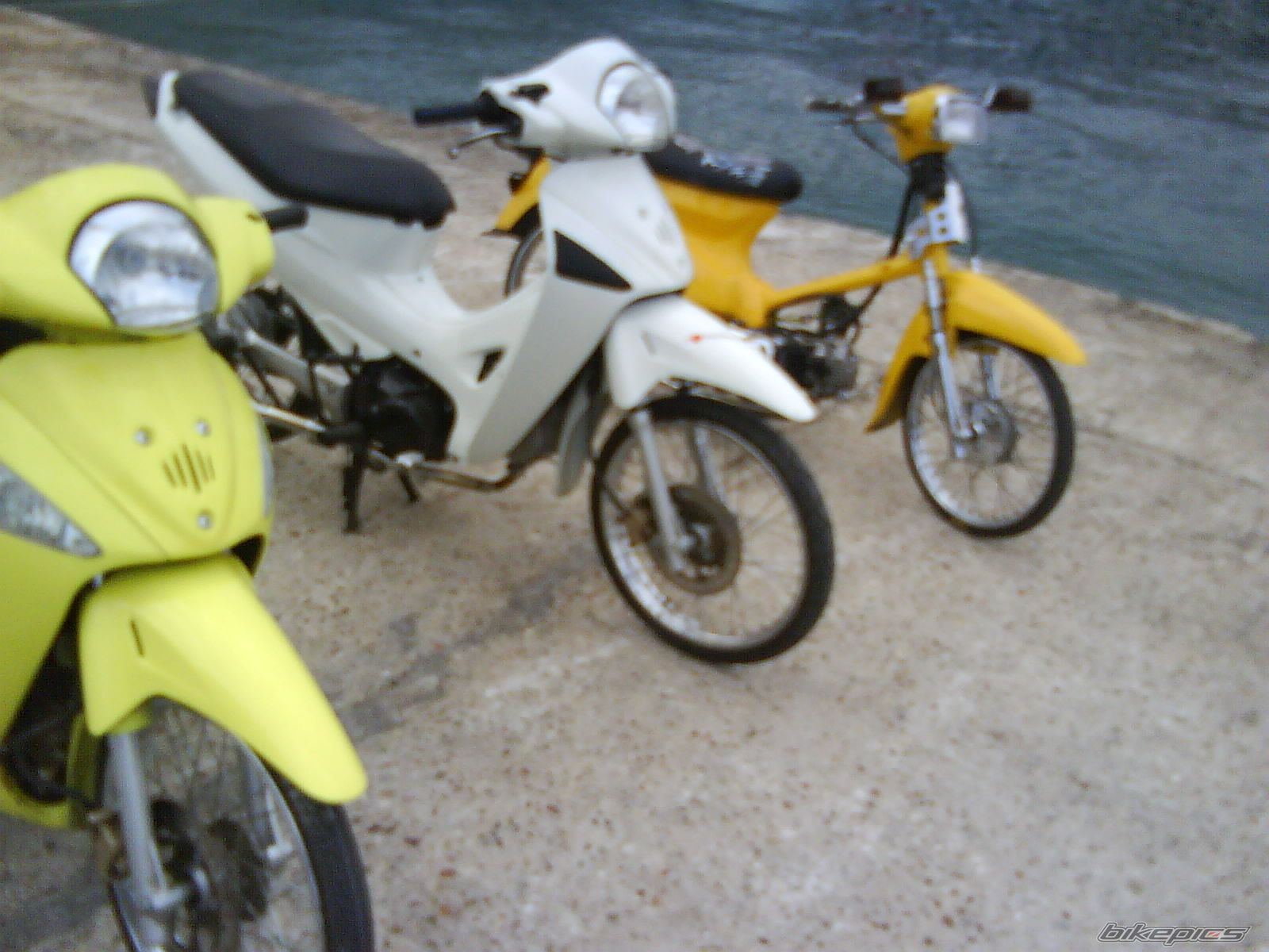 2009 HONDA GLX 50 | Picture 1466427 motorcycle photo