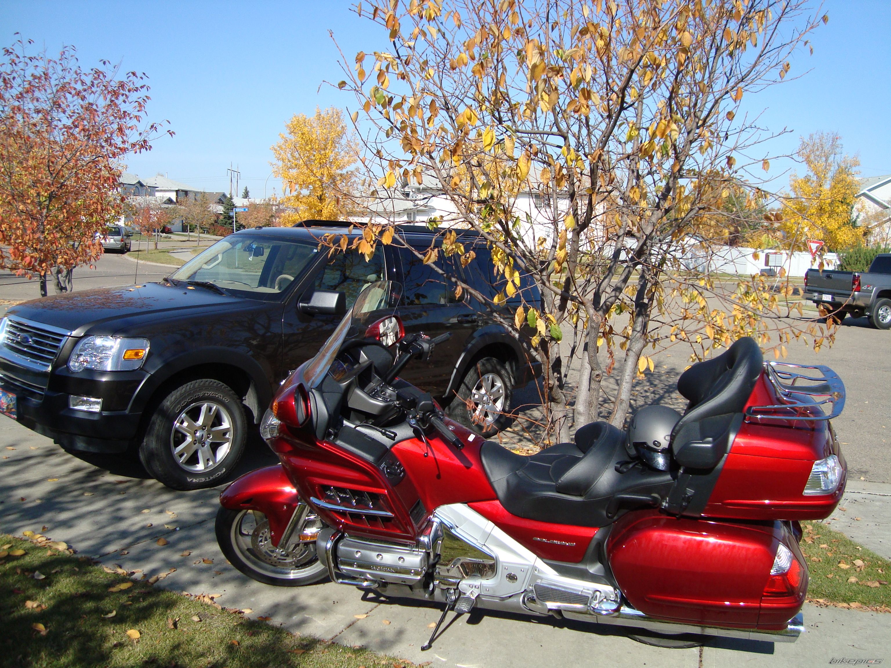 2008 HONDA GOLDWING | Picture 1466684 motorcycle photo