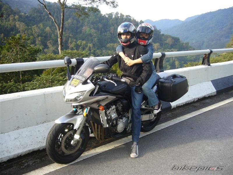 2003 YAMAHA FZ 1 | Picture 1466918 motorcycle photo