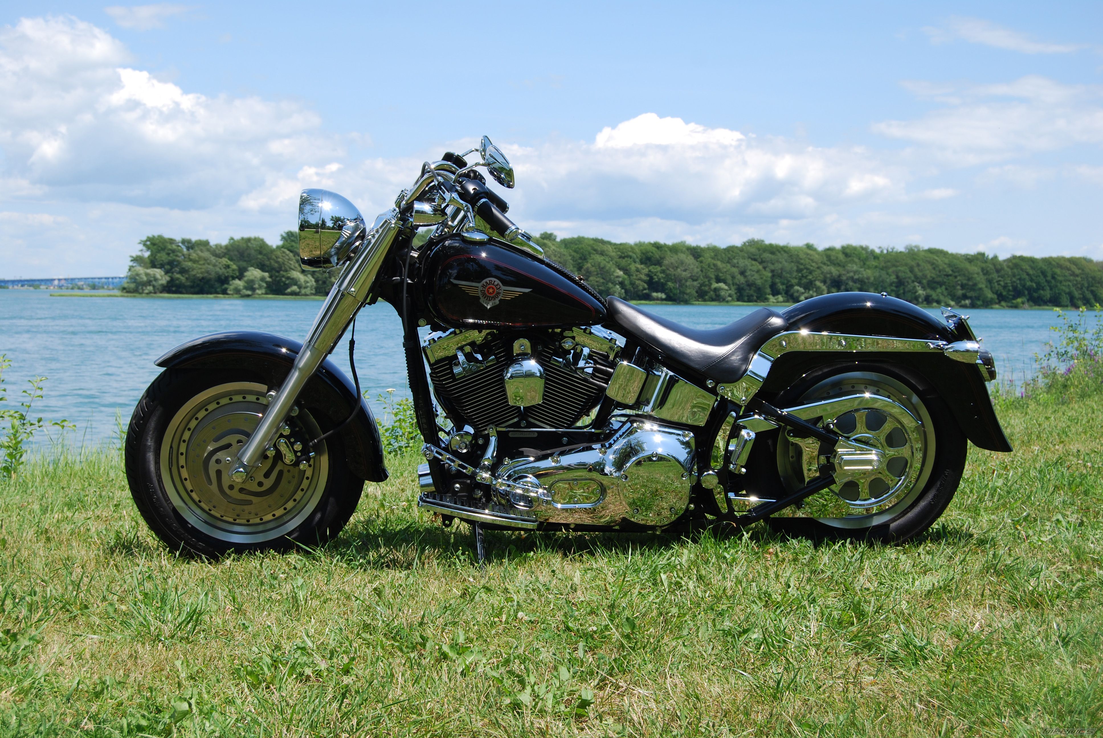 2002 HARLEY DAVIDSON FLSTF | Picture 1466948 motorcycle photo