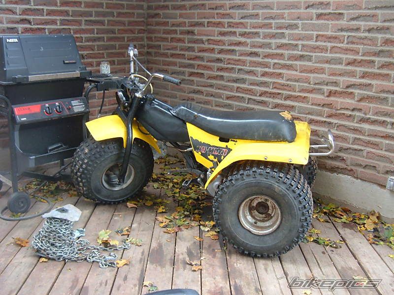 1981 YAMAHA YTM 125 | Picture 1466977 motorcycle photo